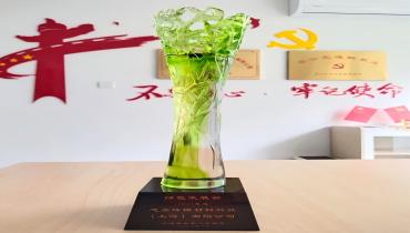 上海思嘉榮獲“綠色工廠”稱號(hào)